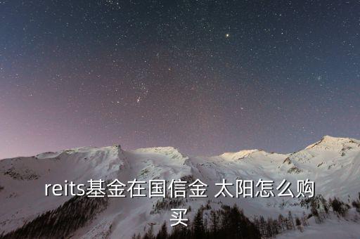 reits基金在國(guó)信金 太陽怎么購(gòu)買