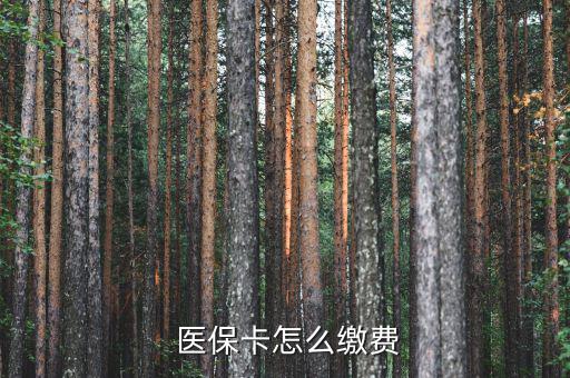  醫(yī)?？ㄔ趺蠢U費(fèi)