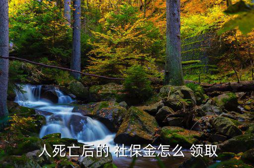 人死后社保怎么領取,如何使用社?？?!