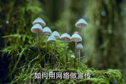 典當怎么和互聯(lián)網(wǎng)結合,關注房地產(chǎn)市場動態(tài)當局推出免費配套