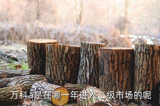  萬科a是在哪一年進(jìn)入二級(jí)市場(chǎng)的呢