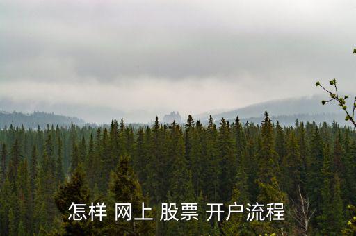 怎樣 網(wǎng)上 股票 開(kāi)戶(hù)流程