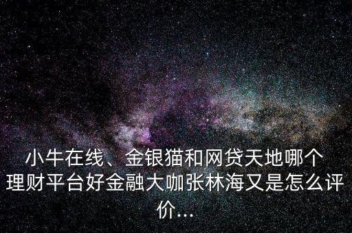  小牛在線、金銀貓和網(wǎng)貸天地哪個 理財平臺好金融大咖張林海又是怎么評價...