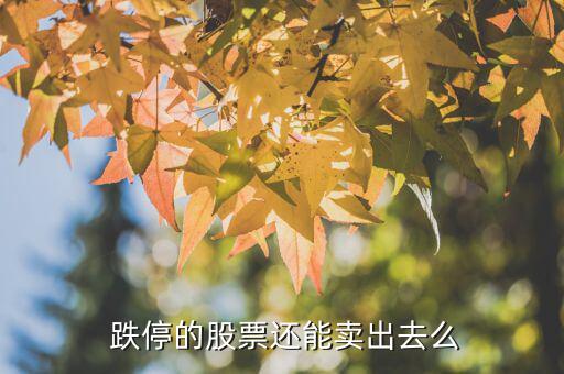  跌停的股票還能賣(mài)出去么