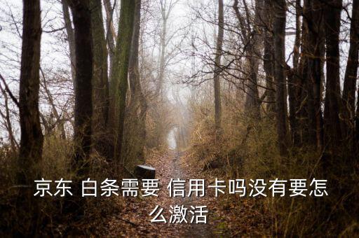  京東 白條需要 信用卡嗎沒(méi)有要怎么激活