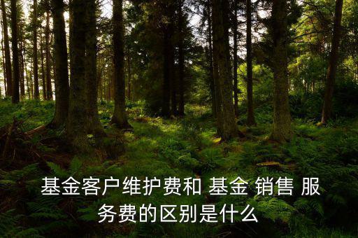  基金客戶維護(hù)費(fèi)和 基金 銷(xiāo)售 服務(wù)費(fèi)的區(qū)別是什么