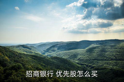 招商銀行 優(yōu)先股怎么買(mǎi)