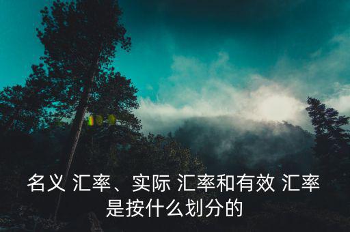 名義 匯率、實際 匯率和有效 匯率是按什么劃分的