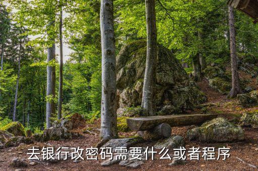 銀行卡改密碼需要什么，改銀行卡密碼要有哪些條件