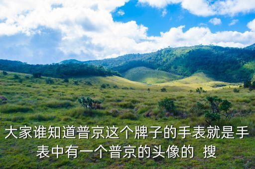 普京皮帶是什么牌子，大家誰(shuí)知道普京這個(gè)牌子的手表就是手表中有一個(gè)普京的頭像的  搜
