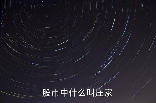 什么莊家股票，股票的莊家是指