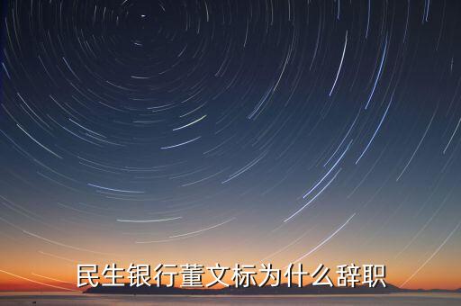 董文標(biāo)現(xiàn)在是什么職務(wù)，民生銀行董文標(biāo)為什么辭職