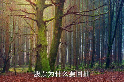 為什么回抽確認(rèn)，股價(jià)突破重要阻力位后為什么一般都要回抽確認(rèn)