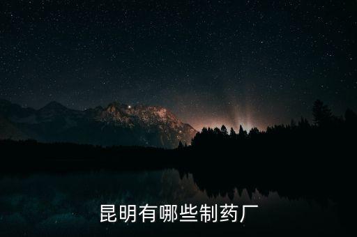 昆藥全資子公司都有什么，昆明有哪些制藥廠