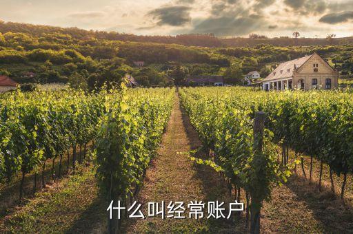 什么是經(jīng)常項(xiàng)目賬戶，經(jīng)常項(xiàng)目賬戶和資本項(xiàng)目賬戶