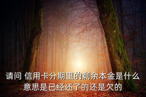 分期付息的本金是什么，請問 信用卡分期里的剩余本金是什么意思是已經(jīng)還了的還是欠的