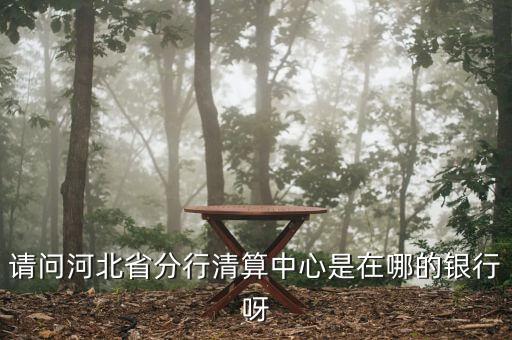 河北省分行清算中心是什么，請(qǐng)問(wèn)河北省分行清算中心是在哪的銀行呀