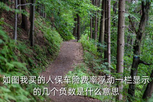 如圖我買(mǎi)的人保車險(xiǎn)費(fèi)率浮動(dòng)一欄顯示的幾個(gè)負(fù)數(shù)是什么意思