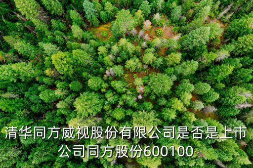 威視股份什么時候上市，威創(chuàng)股份什么時候上市