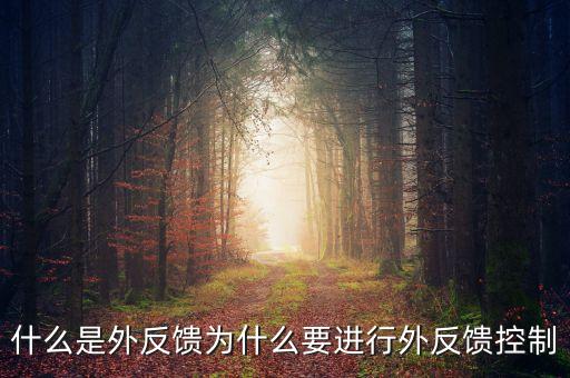 什么是機械外反饋，什么是外反饋為什么要進行外反饋控制