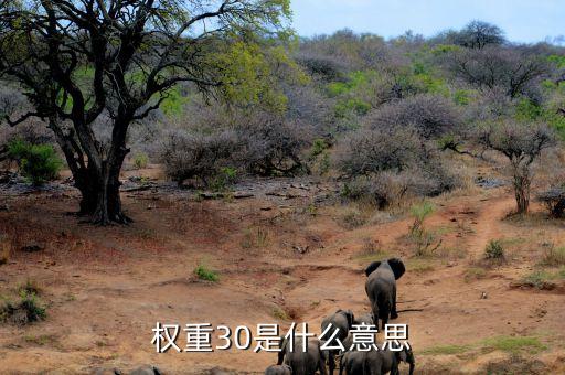 權(quán)重比例是什么意思，權(quán)重30是什么意思