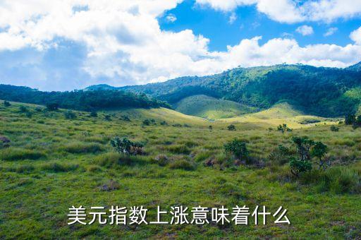 美元指數(shù)上漲什么意思，美元指數(shù)上漲下跌表明什么