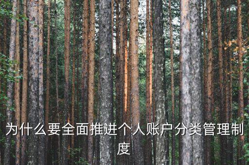 為什么進(jìn)行賬戶分類，為什么要全面推進(jìn)個(gè)人賬戶分類管理制度