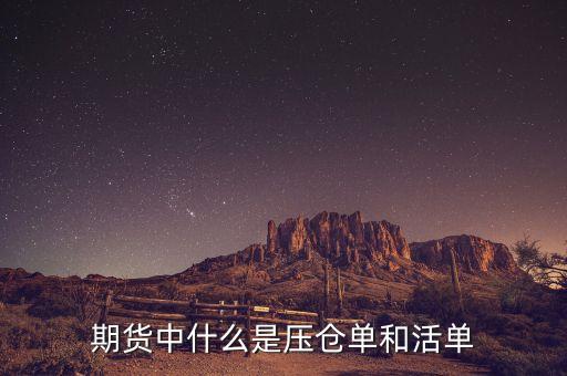 上海期貨交易所標(biāo)準(zhǔn)倉(cāng)單是什么，期貨中倉(cāng)單是什么