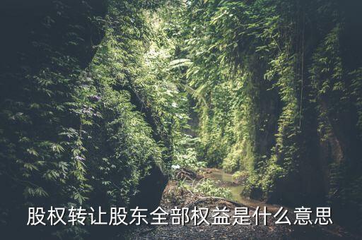 什么是全權(quán)益公司，股權(quán)轉(zhuǎn)讓股東全部權(quán)益是什么意思