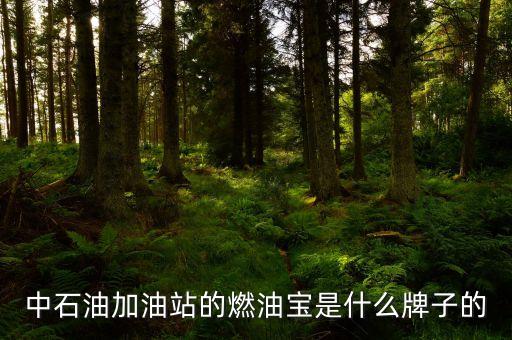 珠海中國石油里賣的是什么燃油寶，燃油寶是什么網(wǎng)上有得賣嗎