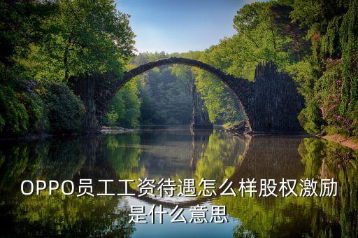 全員持股什么意思，OPPO員工工資待遇怎么樣股權(quán)激勵(lì)是什么意思