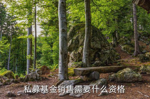 銷售基金需要什么資質(zhì)，財富公司銷售金融產(chǎn)品需要什么牌照或者資質(zhì)