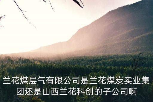 山西蘭花有什么煤層氣公司，山西蘭花煤炭實(shí)業(yè)集團(tuán)有限公司