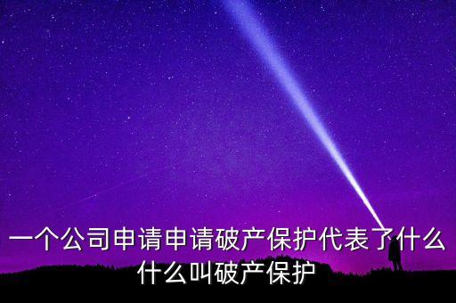 申請(qǐng)破產(chǎn)保護(hù)是什么意思，破產(chǎn)保護(hù)是什么意思