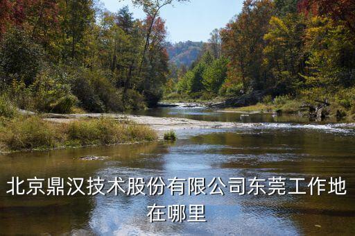 鼎漢技術(shù)主要做什么，北京鼎漢技術(shù)股份有限公司東莞工作地在哪里
