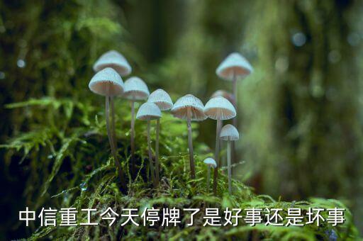 中信重工什么時候復(fù)牌，中信重工今天停牌了是好事還是壞事