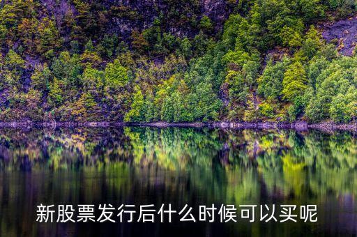 上市股票什么時(shí)候買(mǎi)，股票什么時(shí)候買(mǎi)