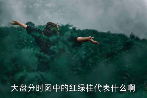 大盤分時(shí)線隨近的柱代表什么，股票分時(shí)圖下面黃藍(lán)白柱各表示什么