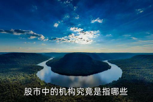股票中的機構(gòu)指什么，股市里的機構(gòu)指的是什么