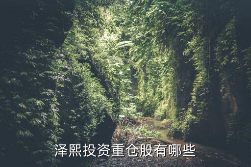 2014年澤熙投資資金介入什么股，請(qǐng)問(wèn)在哪里能看到澤熙投資參與調(diào)研過(guò)哪些股票