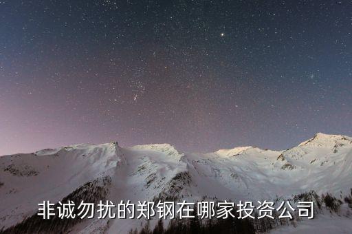 鄭鋼的投資公司是什么，南大鄭鋼投資什么發(fā)的財