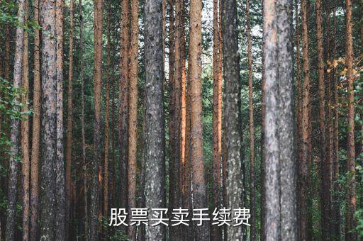 買股票交什么手續(xù)費(fèi)，股票買賣都要交哪些手續(xù)費(fèi)