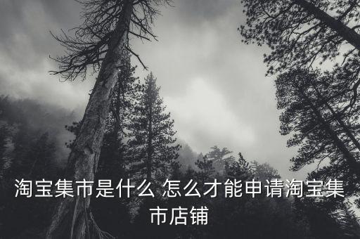 淘寶集市店鋪是什么，淘寶集市店是什么