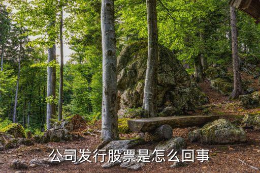 公司為什么發(fā)行股票，公司發(fā)行股票是怎么回事