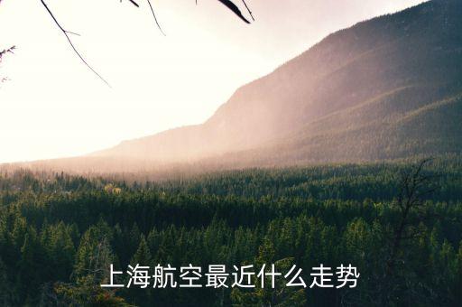 上航股票為什么一直跌，上海航空最近什么走勢