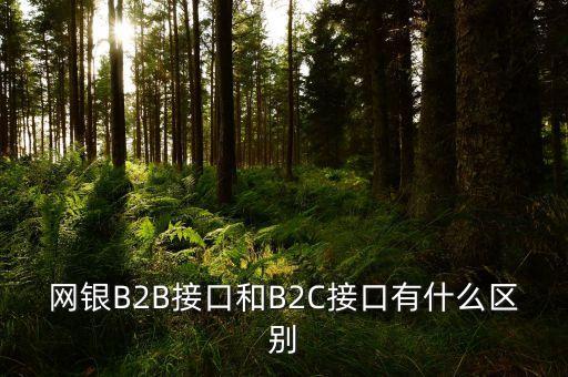 什么是經(jīng)濟(jì)組織對(duì)消費(fèi)者，網(wǎng)銀B2B接口和B2C接口有什么區(qū)別