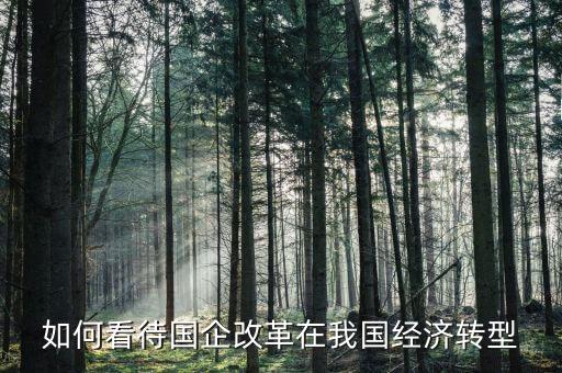 國企改革為什么這么火，最新進(jìn)展怎么了電信行業(yè)國企改革
