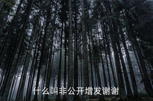 股票非公開(kāi)增發(fā)是什么意思，st股非公開(kāi)增發(fā)啥意思