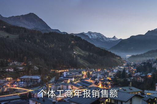 年報(bào)銷售總額是什么，全年銷售營業(yè)收入 全年利潤總額 全年虧損額 年末負(fù)