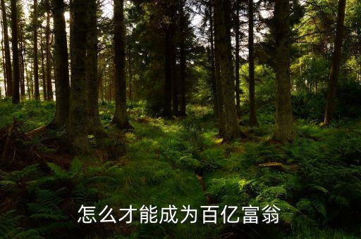 拿什么沖百億，怎么才能成為百億富翁